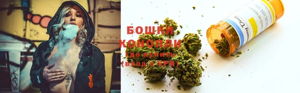 амф Аркадак