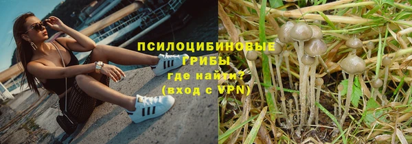 амф Аркадак
