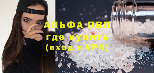 амф Аркадак