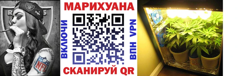 Купить закладки  Сегежа  Бошки марихуана Ganja 